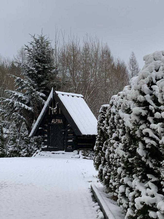 Alpina Hotell Krynica-Zdrój Exteriör bild